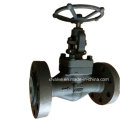 High Pressure 1500lb Forged Steel A105 Flange End Globe Valve